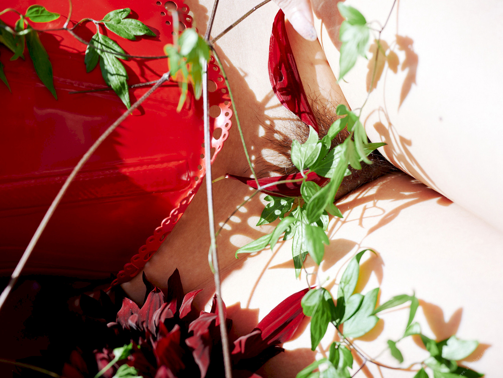 Ayaka Tomoda åç°å½©ä¹é¦, å¨åãã¹ããã¸ã¿ã«åçé ãè±å­ã