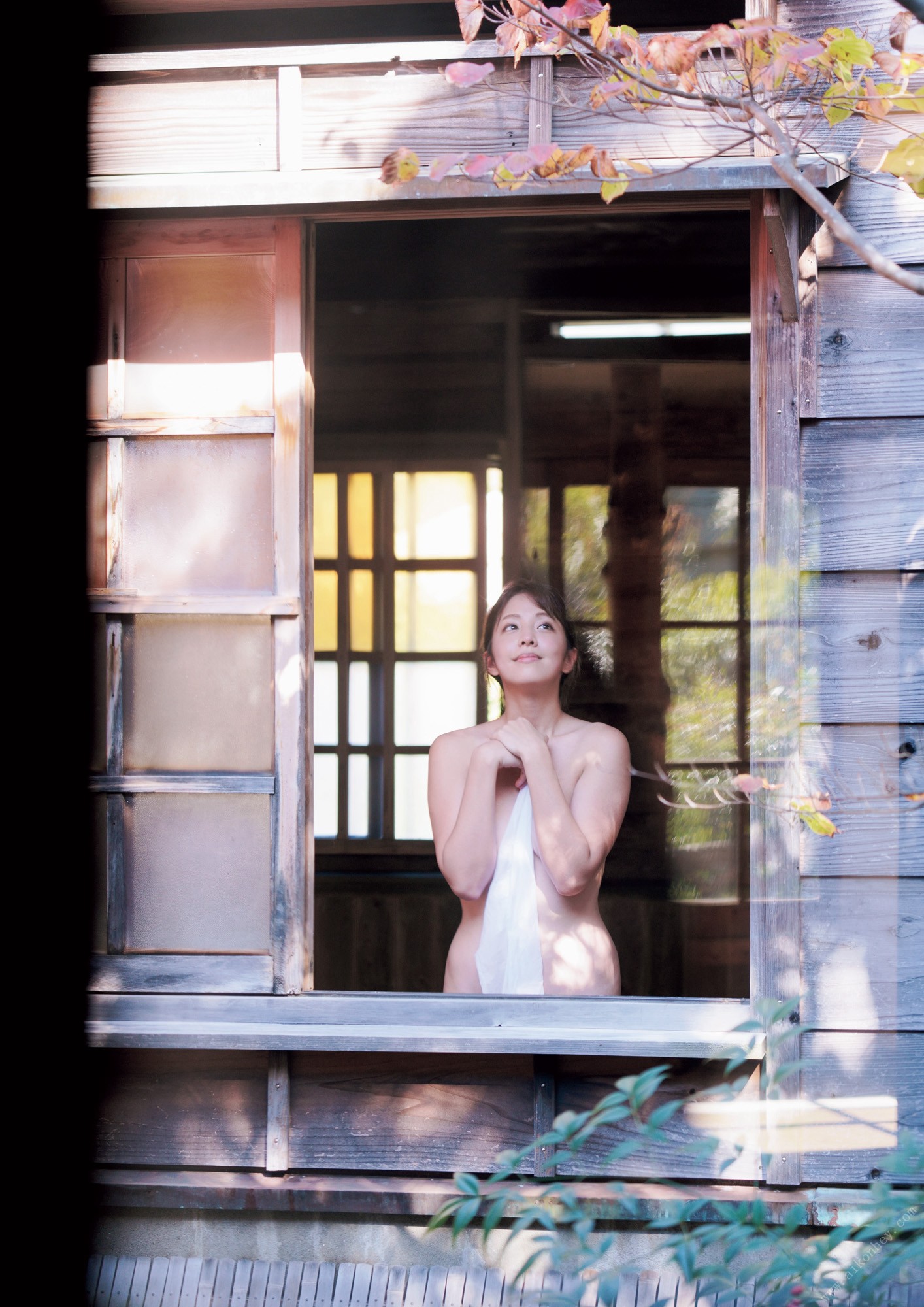 Anna Hongo æ¬é·æå¥, ãã¸ã¿ã«åçé ãTouchâ¡ã Set.02